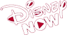 DisneyNOW
